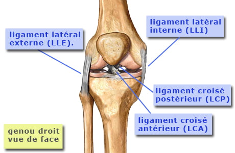 Rupture du ligament croisé du deuxième genou